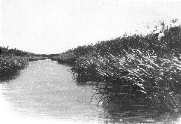 'Un coin des bords du lac Bangweulu; Afrique Australe, 1914. Creator: Unknown