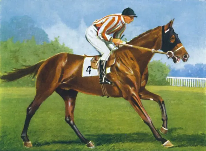 Framed Print : Unbreakable, Jockey: P. Beasley, 1939 Framed Print : Unbreakable, Jockey: P. Beasley, 1939
