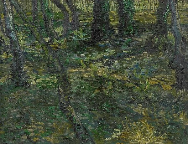 Undergrowth, 1889. Creator: Gogh, Vincent, van (1853-1890)
