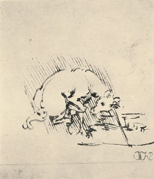 A Unicorn Dipping Its Horn into the Water, c1480 (1945). Artist: Leonardo da Vinci