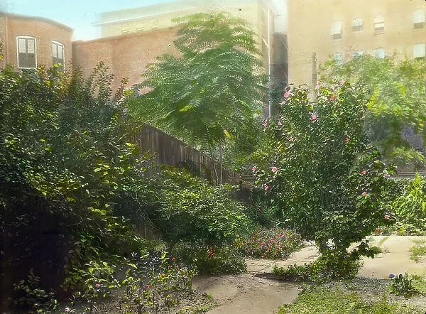 Unidentified city garden, probably in New York, New York, c1922. Creator: Frances Benjamin Johnston
