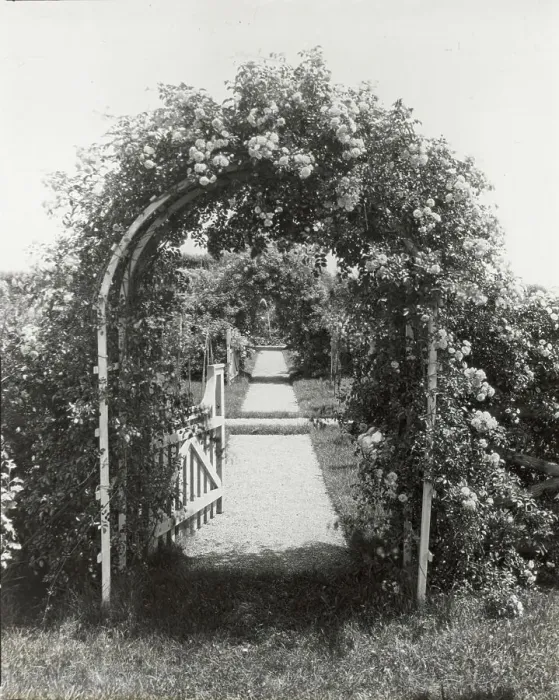 Framed Print : Unidentified garden, between 1910 and 1935. Creator: Frances Benjamin Johnston