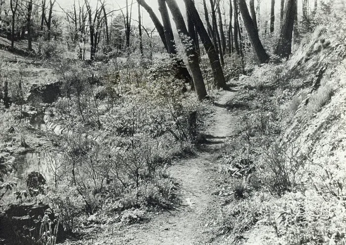 Framed Print : Unidentified garden or park, c1920. Creator: Frances Benjamin Johnston Framed Print : Unidentified garden or park, c1920. Creator: Frances Benjamin Johnston