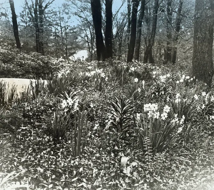 Framed Print : Unidentified house and garden, between 1910 and 1935. Creator: Frances Benjamin Johnston Framed Print : Unidentified house and garden, between 1910 and 1935. Creator: Frances Benjamin Johnston