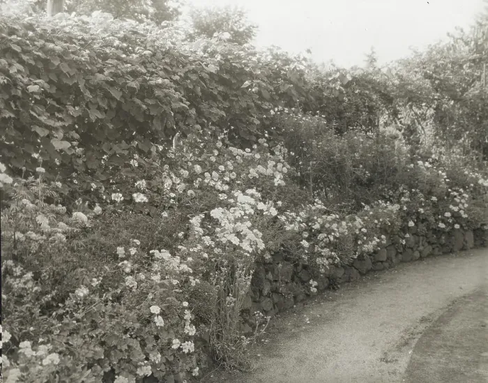 Framed Print : Unidentified house and garden, between 1910 and 1935. Creator: Frances Benjamin Johnston Framed Print : Unidentified house and garden, between 1910 and 1935. Creator: Frances Benjamin Johnston