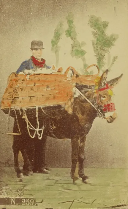 Framed Print : Unidentified man with mule carrying baskets of food, 1870s. Creator: Marittima Framed Print : Unidentified man with mule carrying baskets of food, 1870s. Creator: Marittima