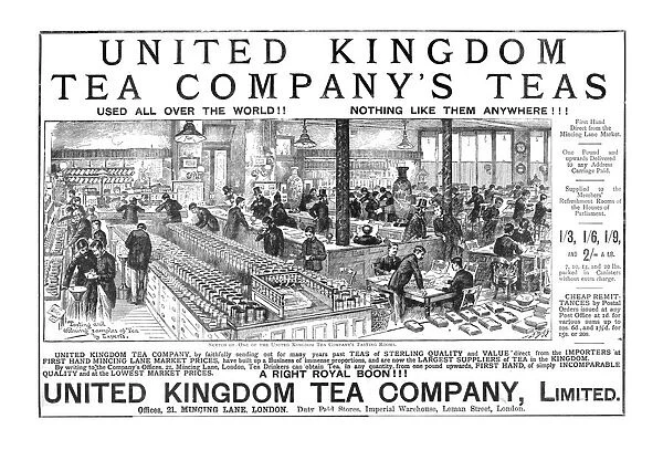 United Kingdom Tea Companys Teas; One of the Tasting Room s, 1890. Creator: Unknown