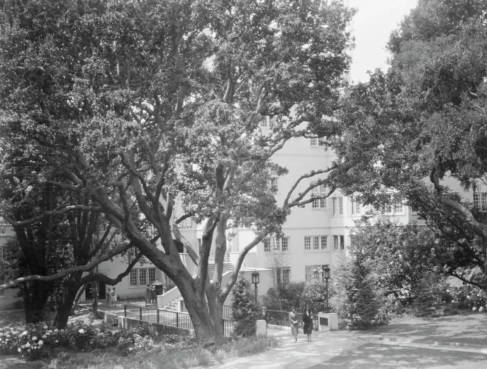 Framed Print : University of California at Berkeley views, 1927 Creator: Arnold Genthe Framed Print : University of California at Berkeley views, 1927 Creator: Arnold Genthe