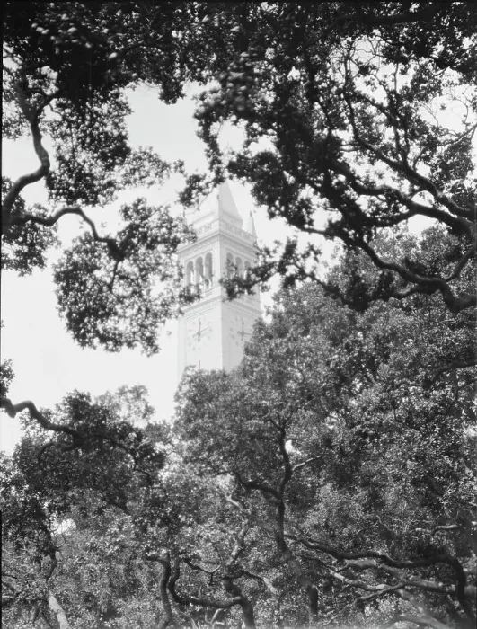 Framed Print : University of California at Berkeley views, 1927 Creator: Arnold Genthe Framed Print : University of California at Berkeley views, 1927 Creator: Arnold Genthe