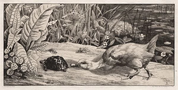 The Unknown, 1862. Creator: Felix Bracquemond (French, 1833-1914);A. Cadart & F