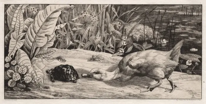 Framed Print : The Unknown, 1862. Creator: Felix Bracquemond (French, 1833-1914);A. Cadart & F Framed Print : The Unknown, 1862. Creator: Felix Bracquemond (French, 1833-1914);A. Cadart & F