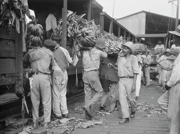 Unloading bananas, New Orleans, between 1920 and 1926. Creator: Arnold Genthe