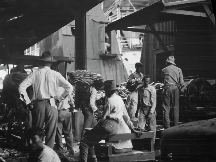 Framed Print : Unloading bananas, New Orleans, between 1920 and 1926. Creator: Arnold Genthe Framed Print : Unloading bananas, New Orleans, between 1920 and 1926. Creator: Arnold Genthe