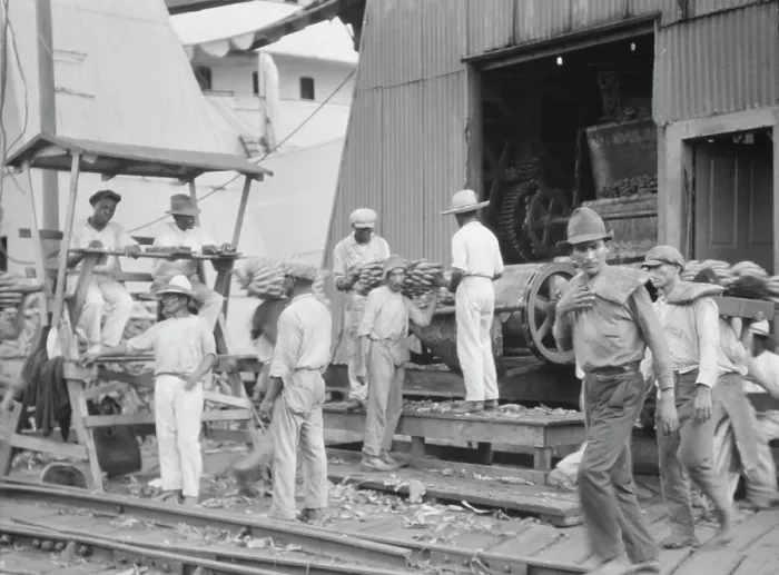 Framed Print : Unloading bananas, New Orleans, between 1920 and 1926. Creator: Arnold Genthe Framed Print : Unloading bananas, New Orleans, between 1920 and 1926. Creator: Arnold Genthe