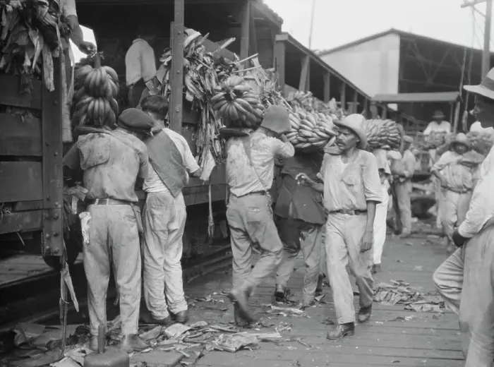 Framed Print : Unloading bananas, New Orleans, between 1920 and 1926. Creator: Arnold Genthe Framed Print : Unloading bananas, New Orleans, between 1920 and 1926. Creator: Arnold Genthe