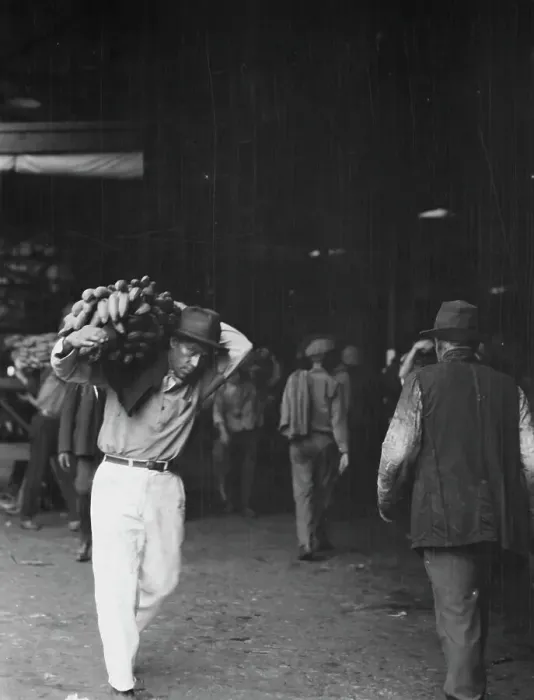 Framed Print : Unloading bananas, New Orleans, between 1920 and 1926. Creator: Arnold Genthe Framed Print : Unloading bananas, New Orleans, between 1920 and 1926. Creator: Arnold Genthe