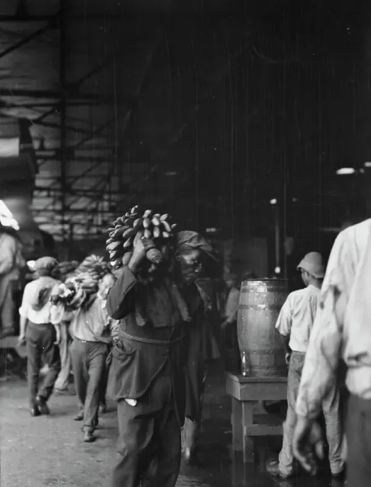 Framed Print : Unloading bananas, New Orleans, between 1920 and 1926. Creator: Arnold Genthe Framed Print : Unloading bananas, New Orleans, between 1920 and 1926. Creator: Arnold Genthe