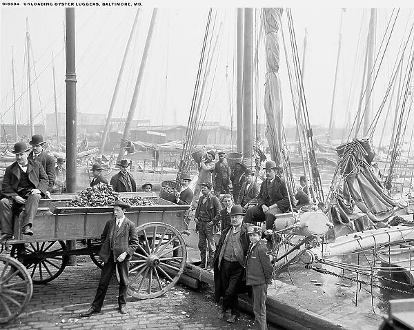Unloading oyster luggers, Baltimore, Md. (1905?). Creator: Unknown