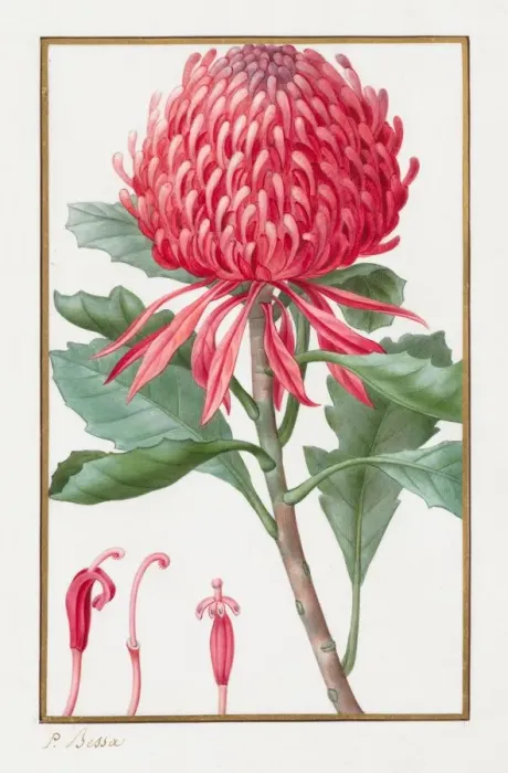 Framed Print : Untitled, 1828-1835. Creator: Pancrace Bessa (French, 1772-1846) Framed Print : Untitled, 1828-1835. Creator: Pancrace Bessa (French, 1772-1846)