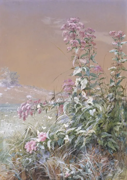 Framed Print : Untitled, 1876. Creator: Fidelia Bridges Framed Print : Untitled, 1876. Creator: Fidelia Bridges
