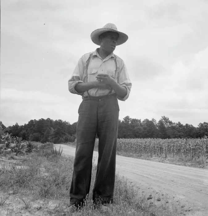 Framed Print : Untitled, 1935-1942. [African-American man near a field of corn]. Creator: Unknown