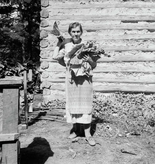 Framed Print : Untitled, 1935-1942. [Woman with tobacco leaves]. Creator: Unknown