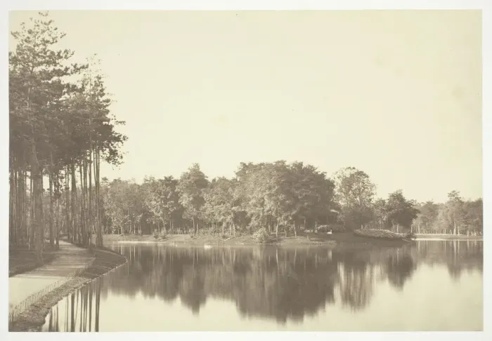 Framed Print : Untitled, c. 1850. [Trees near water in the Bois de Boulogne, a park in Paris]