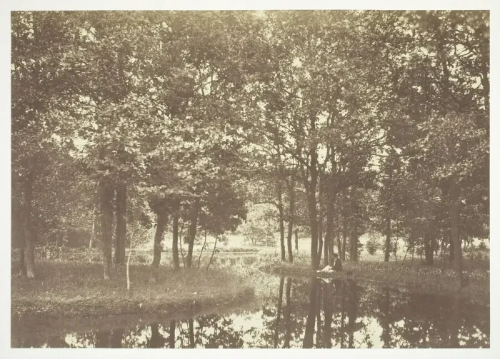 Framed Print : Untitled, c. 1850. [Trees near water in the Bois de Boulogne, a park in Paris]