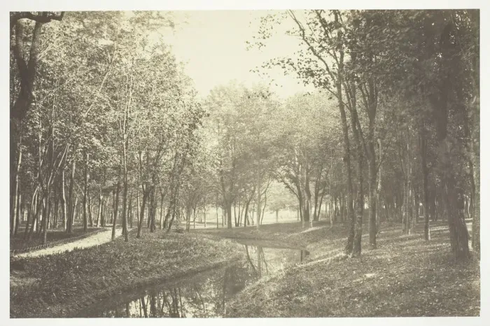 Framed Print : Untitled, c. 1850. [Trees near water in the Bois de Boulogne, a park in Paris]