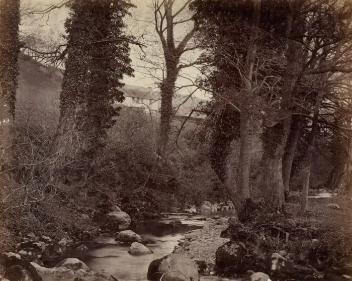 Framed Print : Untitled, c. 1859. Creator: John Lloyd (British, 1865) Framed Print : Untitled, c. 1859. Creator: John Lloyd (British, 1865)
