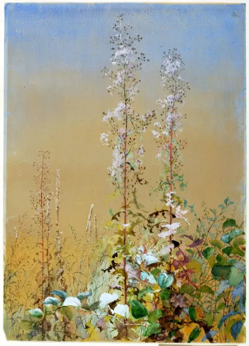 Framed Print : Untitled, ca. 1876. Creator: Fidelia Bridges Framed Print : Untitled, ca. 1876. Creator: Fidelia Bridges