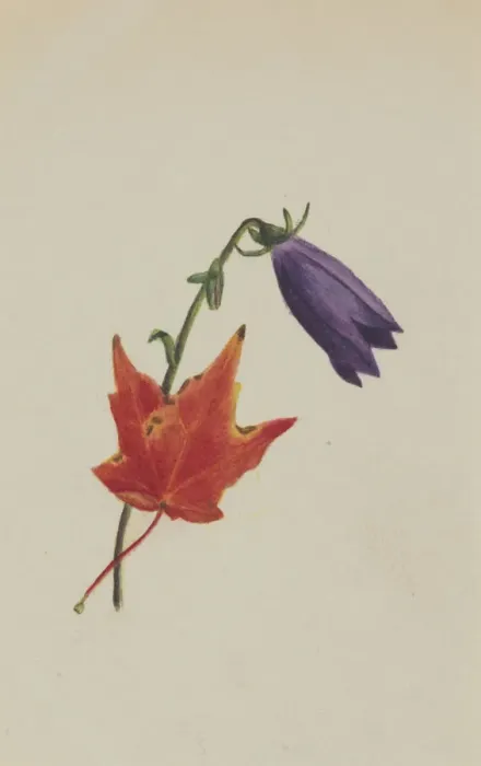 Framed Print : (Untitled), ca. 1876. Creator: Mary Vaux Walcott