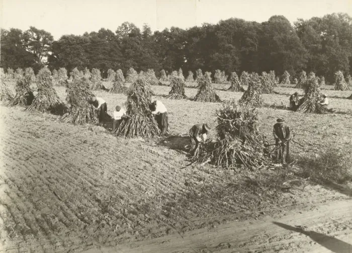 Framed Print : Untitled, ca. 1935. Creator: Lewis Wickes Hine Framed Print : Untitled, ca. 1935. Creator: Lewis Wickes Hine