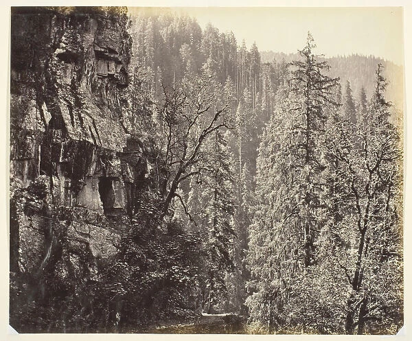 Untitled [cliffs and trees], c. 1865. Creator: Samuel Bourne