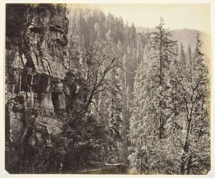 Framed Print : Untitled [cliffs and trees], c. 1865. Creator: Samuel Bourne