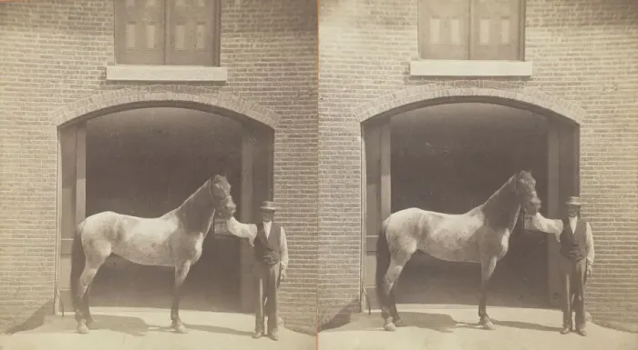 Framed Print : Untitled, [horse and groom], 1875  /  99. Creator: Unknown