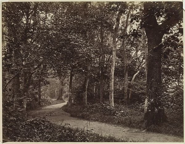 Untitled (Landscape), early 1860s. Creator: Unidentified Photographer