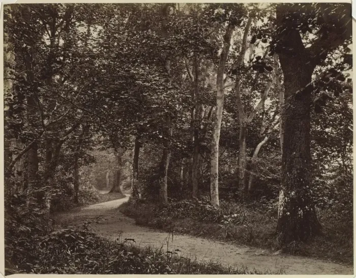 Framed Print : Untitled (Landscape), early 1860s. Creator: Unidentified Photographer Framed Print : Untitled (Landscape), early 1860s. Creator: Unidentified Photographer