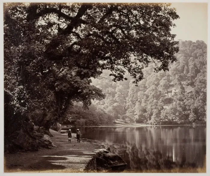 Framed Print : Untitled [trees near water, India], 1870s. Creator: Samuel Bourne