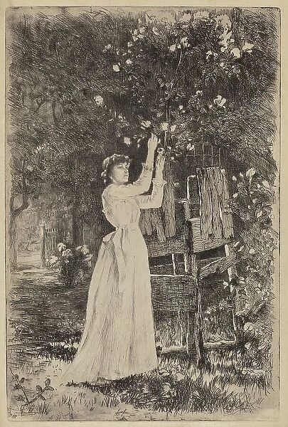 Untitled (Woman Picking Blossoms), c. 1890. Creator: Charles Yardley Turner