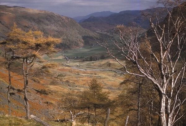 Upper Borrowdale valley in October, Lake District, Cumbria, 20th century. Artist: CM Dixon
