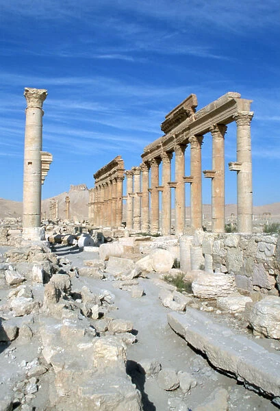 Upper Colonnade Street, Palmyra, Syria