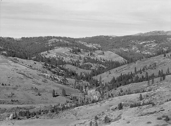 Upper end of Squaw Creek Valley... Ola self-help sawmill co-op, Gem County, Idaho, 1939. Creator: Dorothea Lange