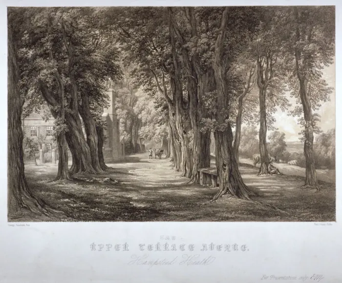 Framed Print : The Upper Terrace Avenue, Hampstead Heath, London, c1840. Artist: Paul Gauci Framed Print : The Upper Terrace Avenue, Hampstead Heath, London, c1840. Artist: Paul Gauci