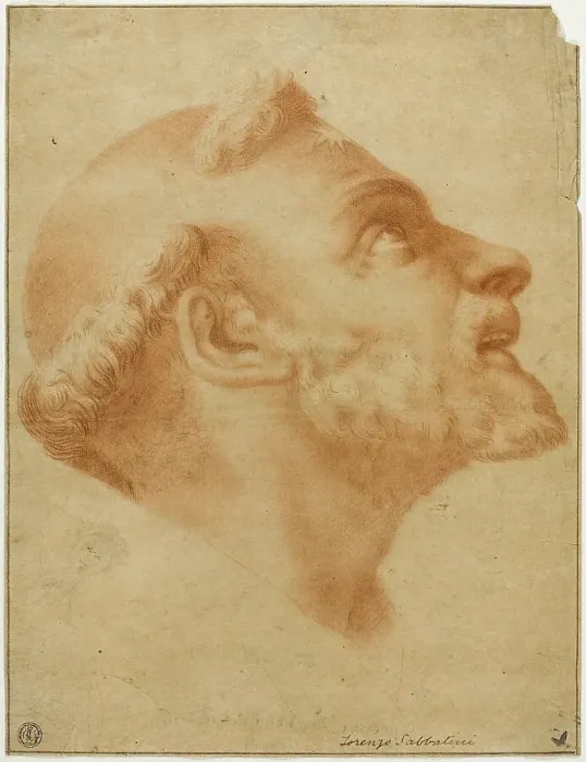 Framed Print : Upturned Head of Saint Dominic, n.d. Creator: Lorenzo Sabatini Framed Print : Upturned Head of Saint Dominic, n.d. Creator: Lorenzo Sabatini