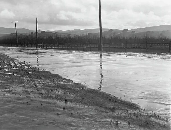 U.S. 101 near San Juan Bautista, California, 1939. Creator: Dorothea Lange
