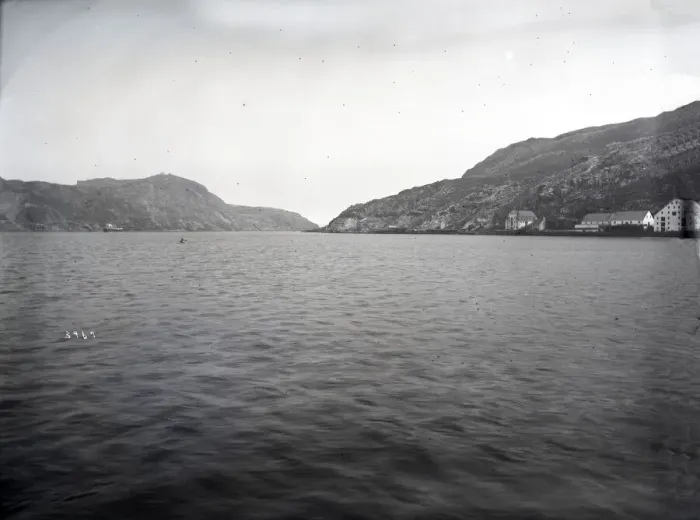 Framed Print : USFC Steamer Albatross'Survey of Fishing Banks from Newport to Newfoundland Framed Print : USFC Steamer Albatross'Survey of Fishing Banks from Newport to Newfoundland