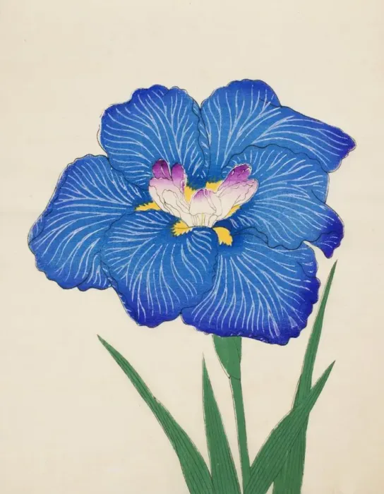 Framed Print : Ushio-No-Kemuri, No. 47, 1890, (colour woodblock print) Framed Print : Ushio-No-Kemuri, No. 47, 1890, (colour woodblock print)