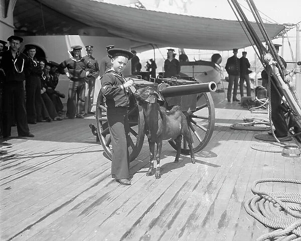 U.S.S. New York, Admiral Sampson's son and Pitch the mascot, between 1893 and 1901. Creator: William H. Jackson
