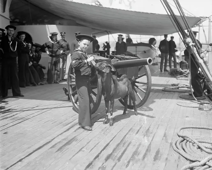 Framed Print : U.S.S. New York, Admiral Sampson's son and Pitch the mascot, between 1893 and 1901. Creator: William H. Jackson Framed Print : U.S.S. New York, Admiral Sampson's son and Pitch the mascot, between 1893 and 1901. Creator: William H. Jackson